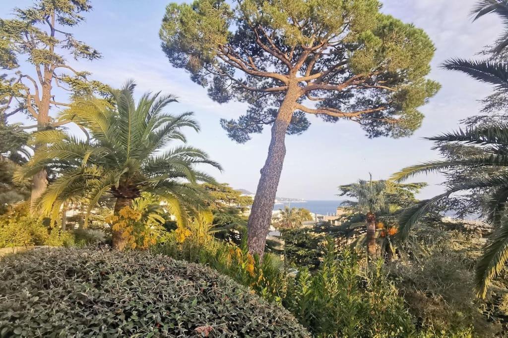 Appartement Nice Centre Vue Mer Avec Piscine Pour Famille, Couple D'Amis Pas De Groupes De Jeunes Autorises Buitenkant foto